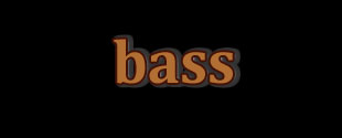 bass player